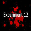 Icon of program: Experiment 12