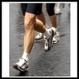 Icono de programa: Kinesiology Sports Med Qu…
