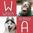 Icon of program: Which Animal Do I Look?