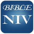 Icon of program: Audio Bible Niv Free
