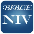 Icon of program: Audio Bible Niv Free