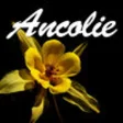 Icon of program: Ancolie Fleurs
