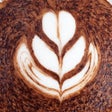 Icon of program: Art of Coffee