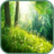 Icon of program: Nature Sounds
