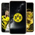 Icon of program: Borussia Dortmund Wallpap…