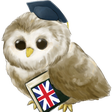 Icon of program: Learn English free