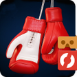 Icon of program: Box Fighter VR