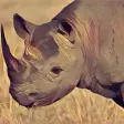 Icon of program: Deadly Desert Rhino - Wil…