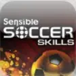 Icon of program: Sensible Soccer Skills