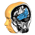 Icono de programa: Brain Tutor 3D