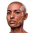 Icon of program: Complete Anatomy for Andr…