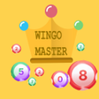 Wingo Master calculator icon