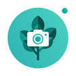 Icono de programa: PlantFinder - Plant Ident…