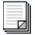 Icon of program: Batch File Organizer