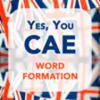 Icon of program: Yes You CAE