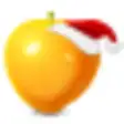 Icon of program: Fruit Christmas Desktop W…
