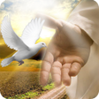 Icono de programa: Salmo do dia