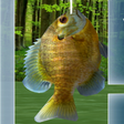 Icon of program: Fishing 3D