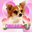 Icon of program: Chihuahua IO