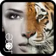 Icon of program: InstaFace : face morphing