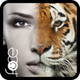 Icon of program: InstaFace : face morphing
