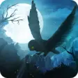 Icon of program: Owl's Midnight Journey - …
