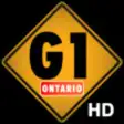 Icon of program: G1 Test Driving HD - Onta…