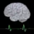 Icon of program: Brain Meter