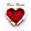 Icon of program: Wallpaper Rose Heart Them…