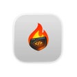 Icon of program: Burn Them APIs
