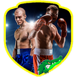 Icon of program: Boxing Training (Guide)