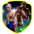Icon of program: Boxing Training (Guide)
