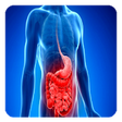 Crohn's disease icon