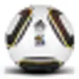 Icon of program: FIFA 2010 World Cup Stats…