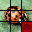 Icon of program: Picture Slider Free