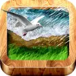 Icon of program: NatureScapes Free Relaxin…