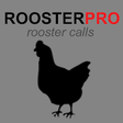 Rooster Sounds & Chicken Sound icon