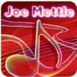 Icon of program: Joe Mettle Music Playlist