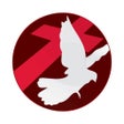 Icon of program: SBN Now