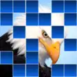Icon of program: Guess The Animal Quiz - R…