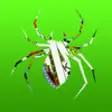 Icon of program: Spider Solitaire - Free C…