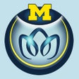 Icon of program: MeTime Acupressure