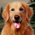 Icon of program: Street Dog Survival Simul…