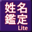 Icon of program: Lite
