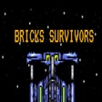 Icon of program: Bricks Survivors