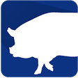 Icono de programa: PigPlus