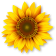 Icon of program: TaskNotes