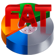 Icon of program: RS FAT Recovery