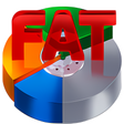 Icon of program: RS FAT Recovery