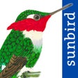 Icon of program: All Birds Colombia - a co…